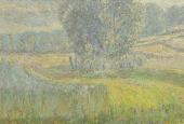 Bild des Monats: Das Feld von Rafolce