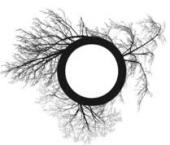 Foto: Broken Tree-O