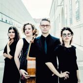 Chaos String Quartet - Geordnetes Chaos