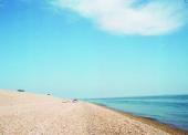 Foto: CinderRay Dungeness Postcard#2