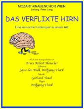 Plakat Das verflixte Hirn: Kinderoper des Mozart Knabenchor Wien