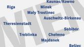 Das Wiener Modell der Radikalisierung. Österreich und die Shoah