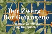 Der Zwerg