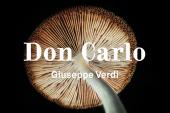 Don Carlo an der Oper Graz