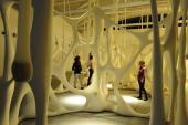 Ernesto Neto, Esqueleto Glóbulos, 2001