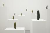Erwin Wurm, Selbstportrait als Gurken, 2008