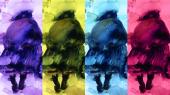 Warhol