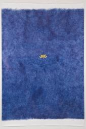 Jan Fabre: Dancing the Hour Blue (Walking Leaves), 1989