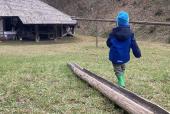 Familienzeit: Naturkugelbahn bauen