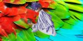 Family Factory: Karneval der Tiere