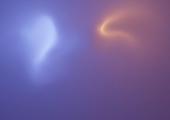 Flare demure - Kunstraum Niederoesterreich