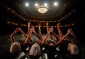 Fredrik Rydman's Swan Lake Reloaded