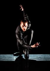 Fredrik Rydman's Swan Lake Reloaded