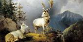Foto: Gauermann, Damwild