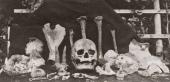 Führung - Funde aus der Frühzeit der steirischen Höhlenforschung - Der Höhlenforscher Adolf Mayer sen. mit Keramikbruchstücken, Tierknochen und menschlichen Skelettresten aus der Josefinenhöhle bei Peggau, 1909