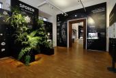 Führung - Sporen. Pioniere der Fortpflanzung - Ausstellungsansicht