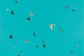 Führung - Spotlight on: Damien Hirst