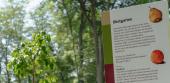 Führung - Süße Vielfalt: Vom Geschmack der Vergangenheit