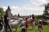 GARTENFREUDEN 2013