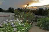 Museumsdorf Niedersulz - Gartensommer Vollmondnacht