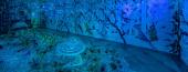 George Nuku Bottled Ocean 2122