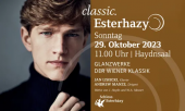 Glanzwerke der Wiener Klassik