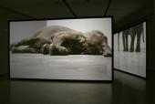Ausstellung Douglas Gordon