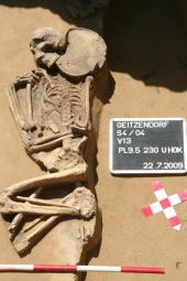 Foto: Grabung Geitzendorf