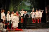 Foto: Gräfin Mariza - Alexander Pinderak, Chor und Ballett