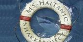 MS HaiTanic Landesmuseum Niederösterreich