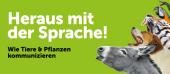 Museumstour - Heraus mit der Sprache!