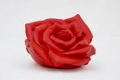 Foto: Ottmar Hörl: Rose