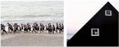 Human Landscapes