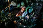 Hundertwasser aus erster Hand - Friedensreich Hundertwassers Meisterklasse an der Wiener Akademie der Bildenden Künste, ca. 1984