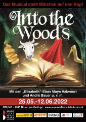Into the Woods