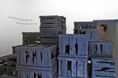 Sibel Horada, Urban Wildfire, 2012