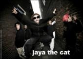 Foto JAYA THE CAT