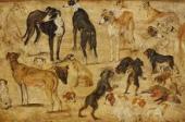 Kinderführung HUND UND KATZ, LÖW UND SPATZ - ALLERLEI TIERISCHES
