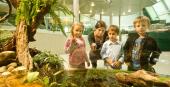 Foto: Sonntag im Museum