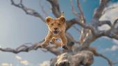 Kino: Mufasa: Der König der Löwen (Neuverfilmung 2024)