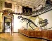 Foto Naturhistorisches Museum