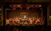 Konzert für Wiener Neustadt