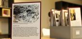 Museum für Geschichte - Kuratorenführung - „Novemberpogrom“ 1938 - Ausstellungsansicht, „Warum? Der Nationalsozialismus in der Steiermark“