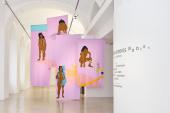 Kuratorinnenführung Matrix Bodies - Sophie Utikal: Coexisting (2018), Matrix Bodies, Kunstraum Niederoesterreich