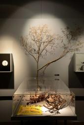 Ausstellungsansicht Gift und Gabe