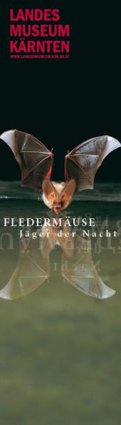 Fledermäuse – Jäger der Nacht | Landesmuseum Kärnten