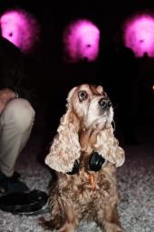 Maskottchen il mondo