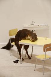 Maurizio Cattelan Bidibidobidiboo, 1996 Installationsansicht  