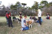 Foto: Mit Huskies unterwegs