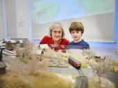 Modellbahn in Bewegung